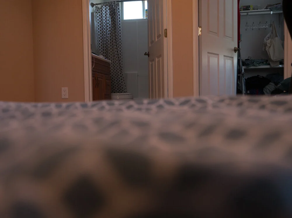 P1088355.jpg