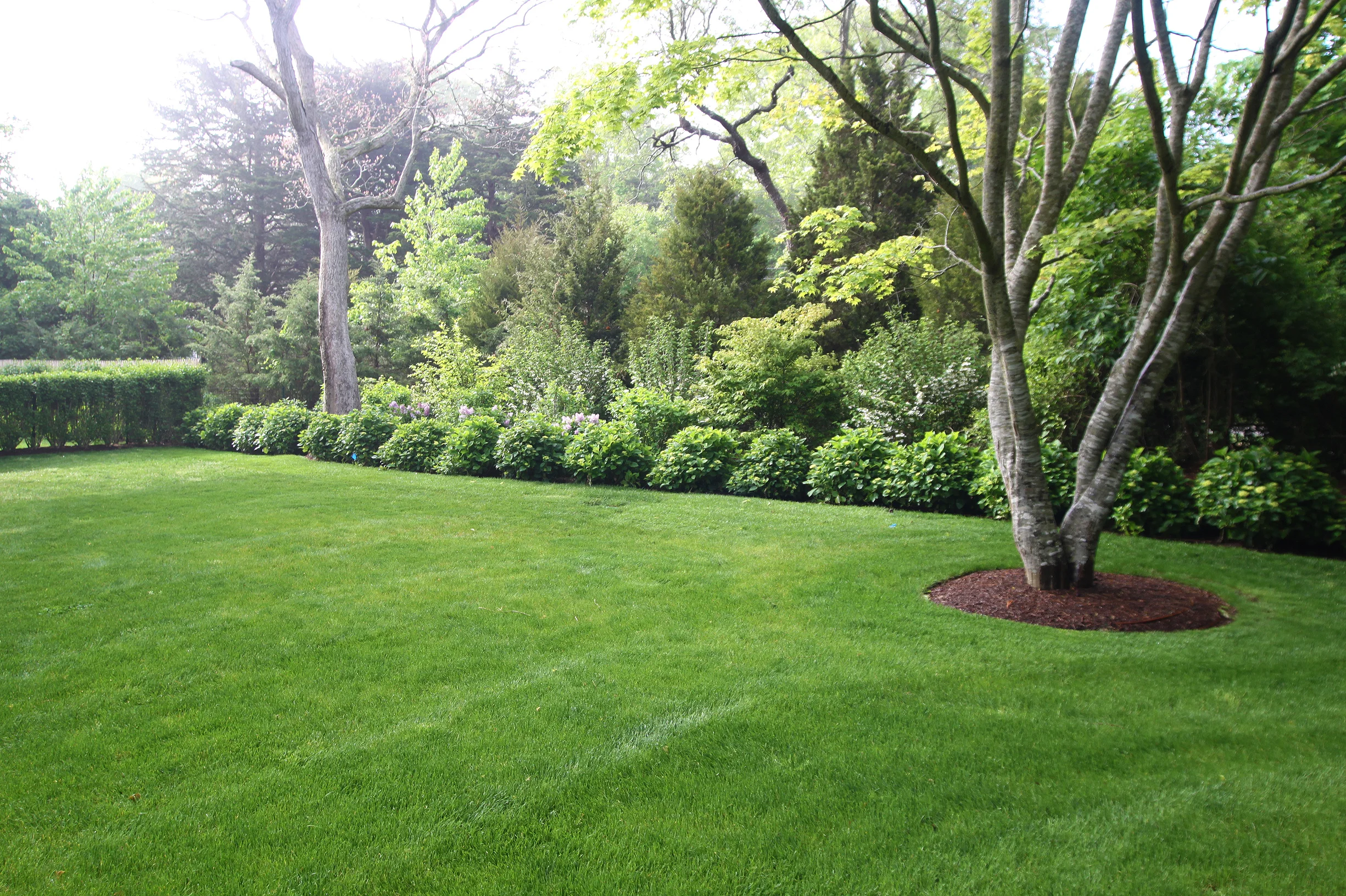 hamptons 5.jpg