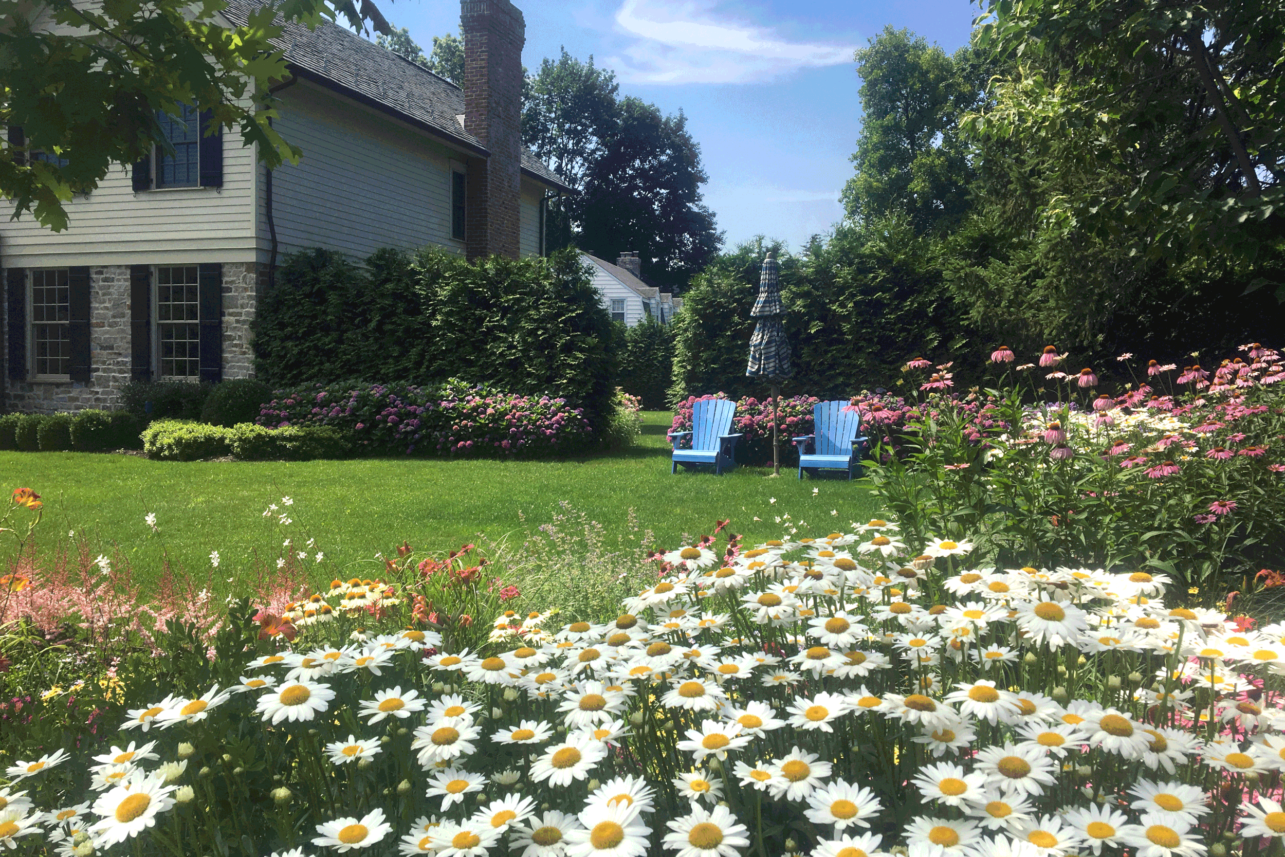 Flower-hill-perennial-garden-flower-garden.gif