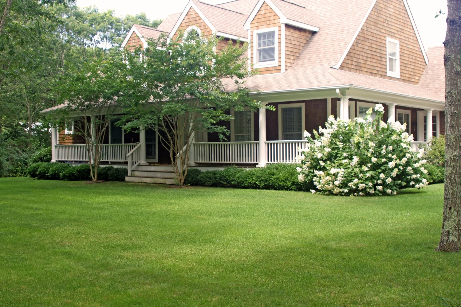 hamptons hydrangea.jpg