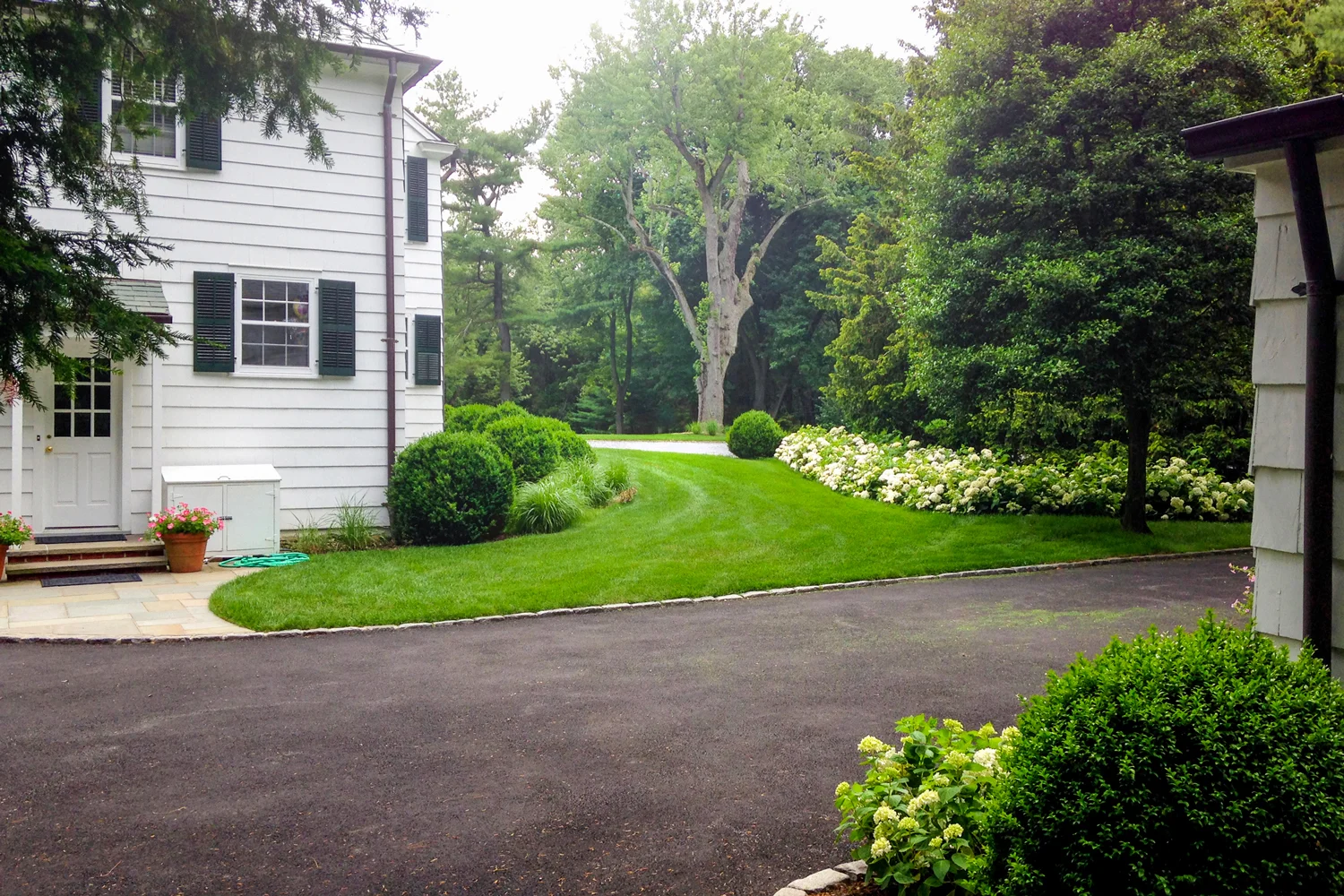 0_boxwood_hydrangea_landscape-design_garden-designer_long-isalnd_ny.jpg