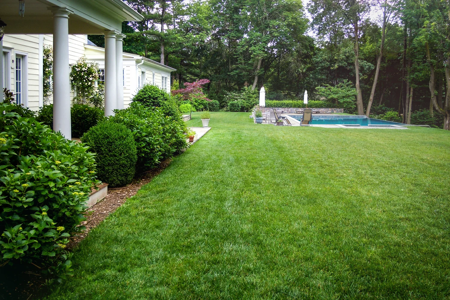 garden_landscape_designer_near_me_flower_li_long_island_ny.jpg
