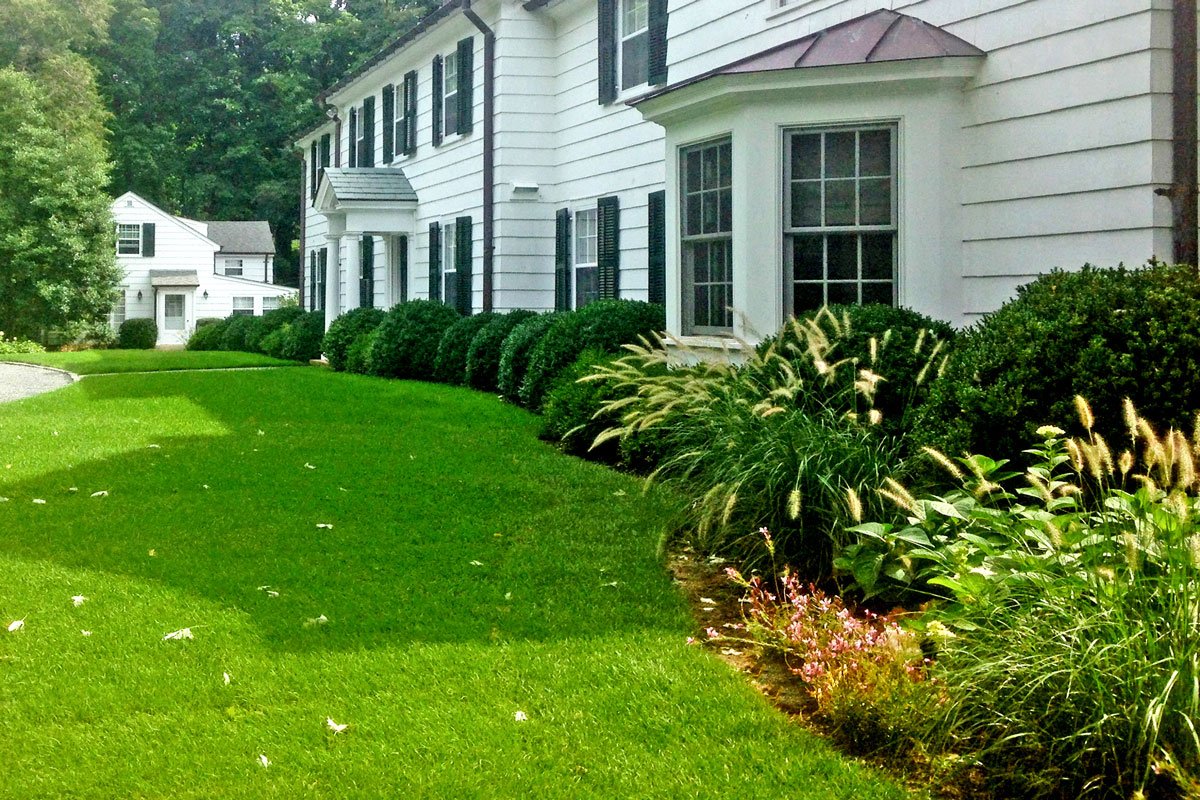 ornamental-grasses_boxwoods_garden-landscape-design_long-island_li_ny_reputable-reliable-honest-company.jpg