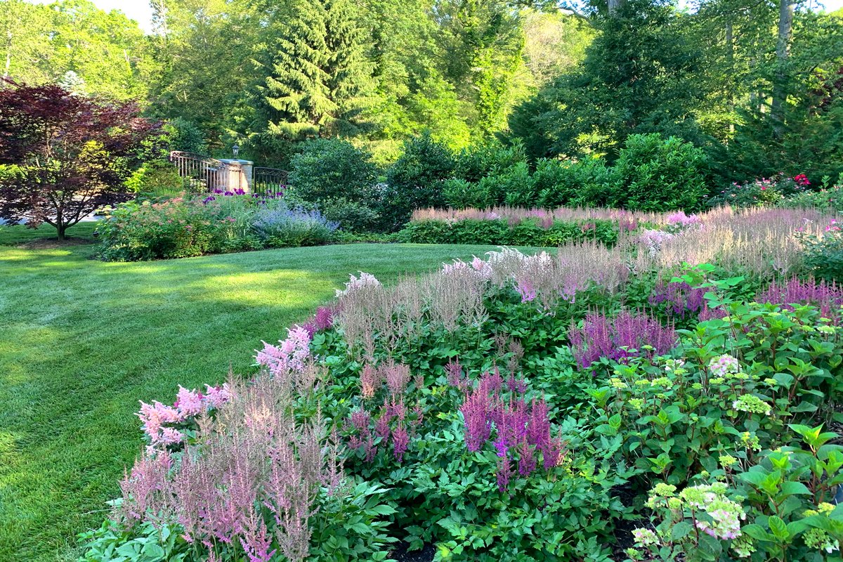 perennial_meadow_garden_low_maintenance_flower_landscape_solutions_long_island_li_ny_best_reviews_naturalistic_landscape_designer_near_me_best.jpg