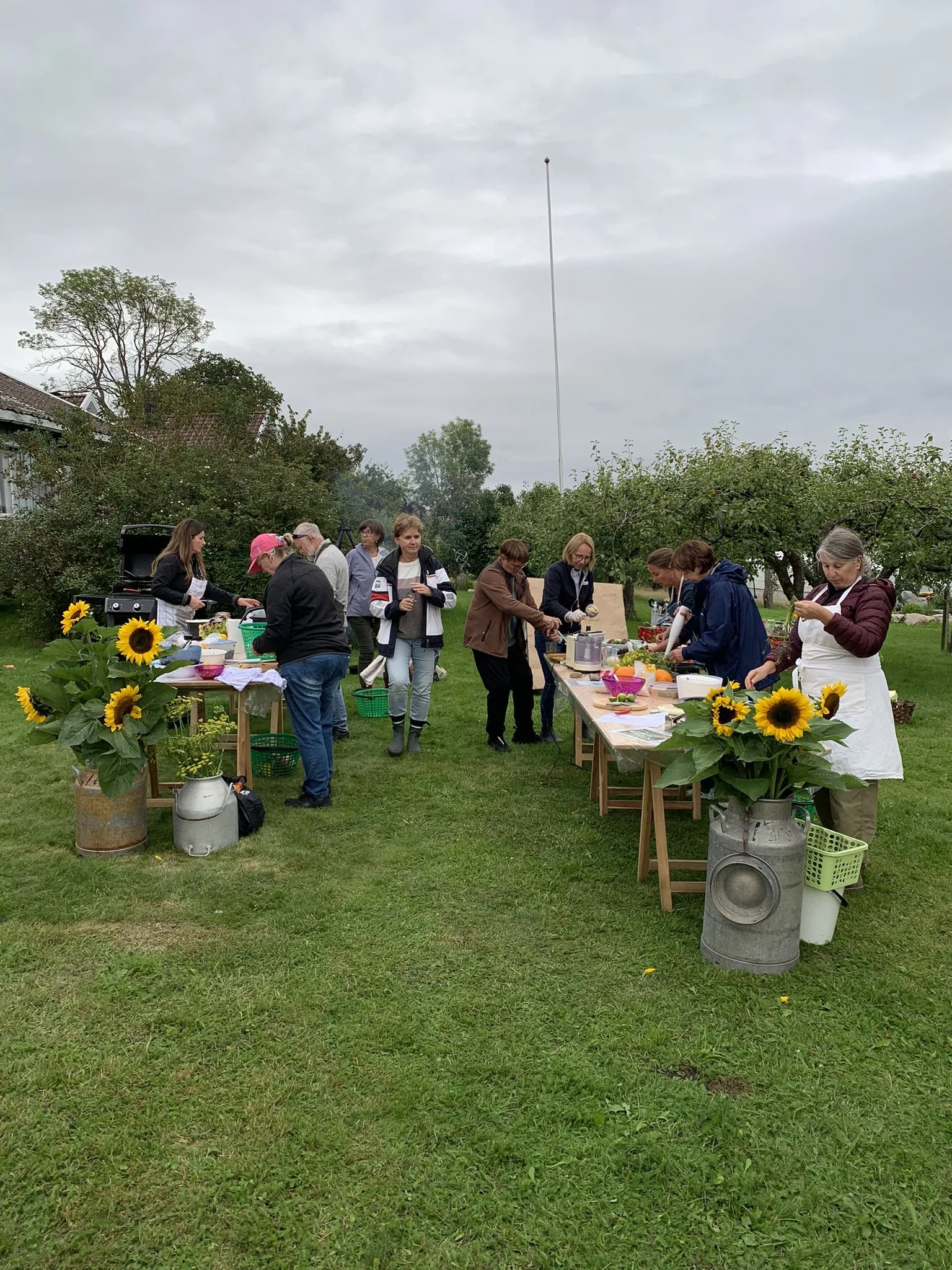 Vegetarisk Matkurs med Susanne Nilsen, 22. august kl 17