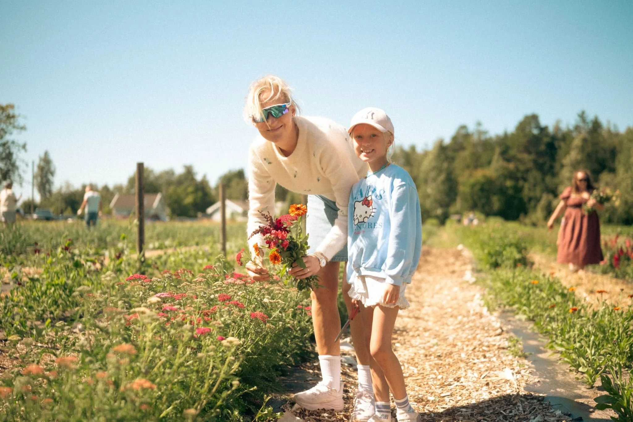 Blomsterveiledning i åkeren