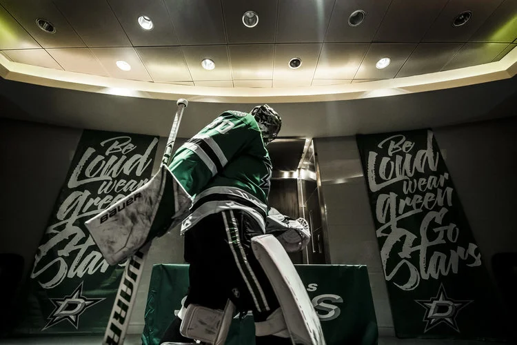 Best of 2018 - 2019 Dallas Stars season