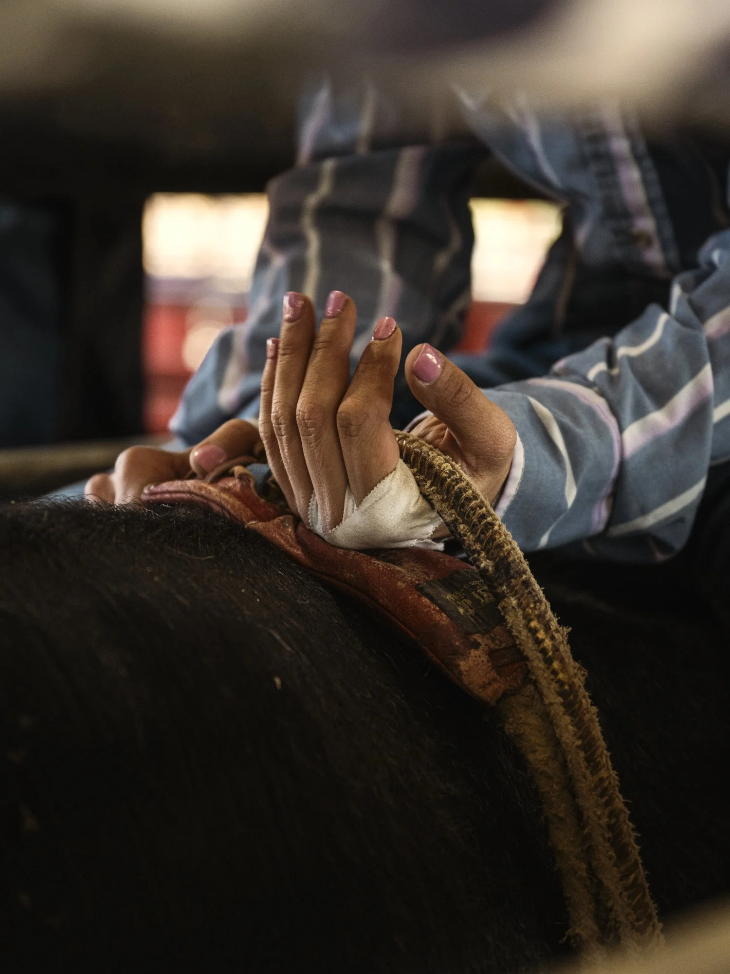 03242026_TEAM-IGNITION_BULLRIDING-0205.jpg