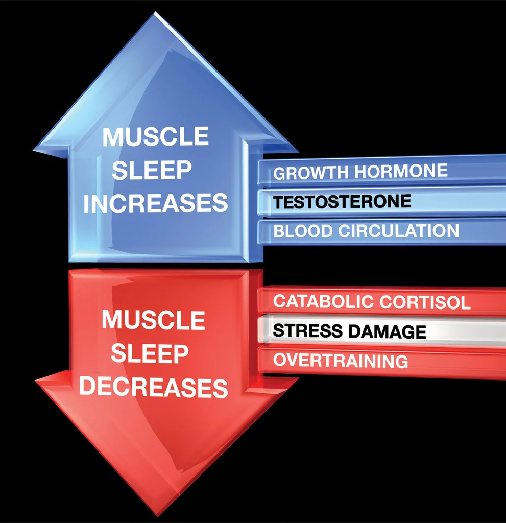 Image Courtesy of  Fusion Body Building .