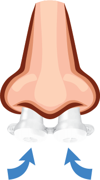 bongo-breathe-in-2.png