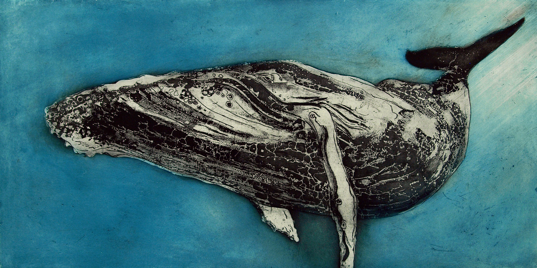 Humpback Whale III