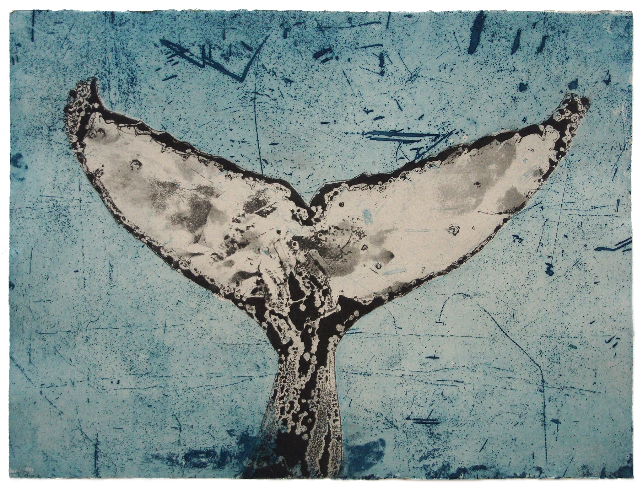 Whale's Tail