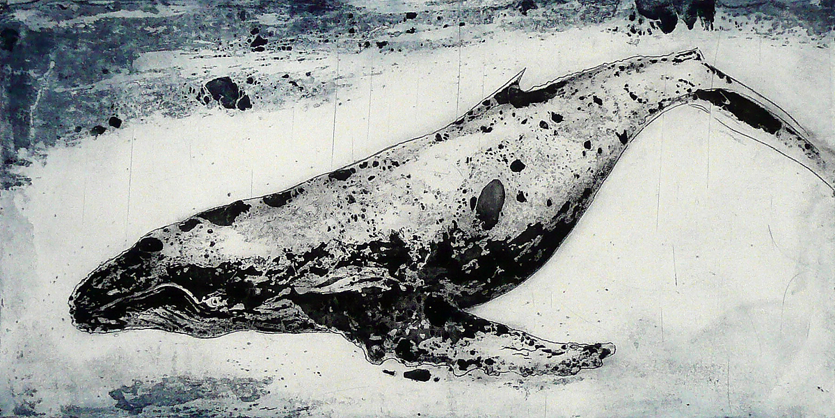 Humpback Whale I