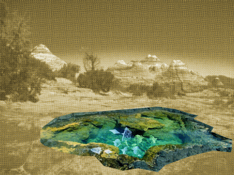 soleri_dreampool1 copy-w800-h800.jpg