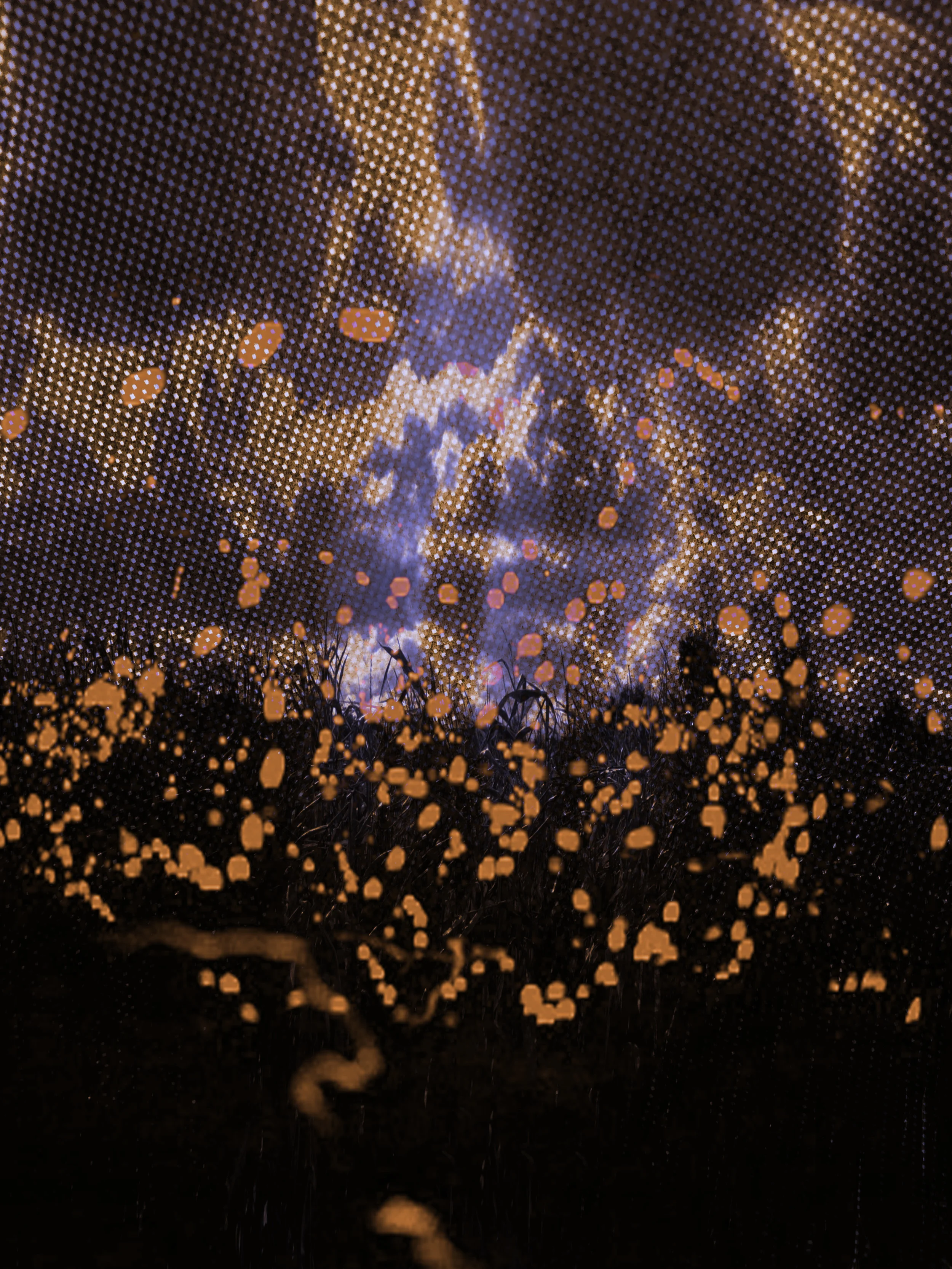 fireflies3.jpg