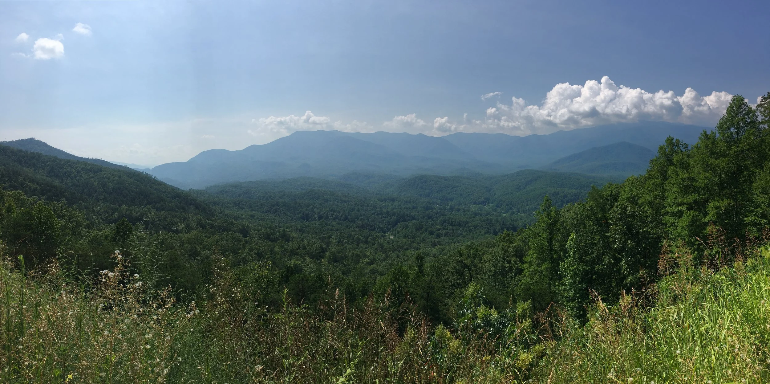 IMG_7155.JPG