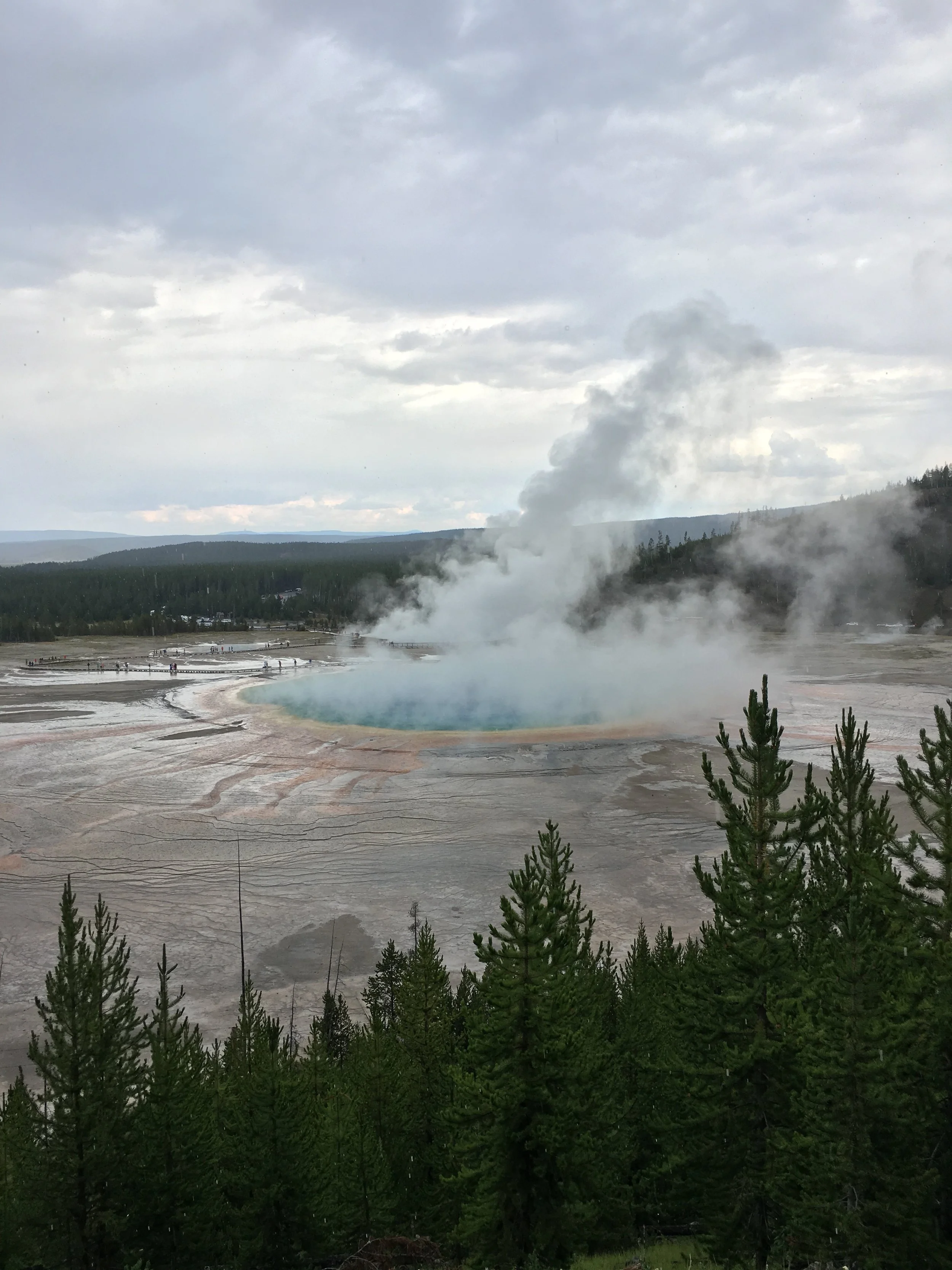 IMG_7633.jpg