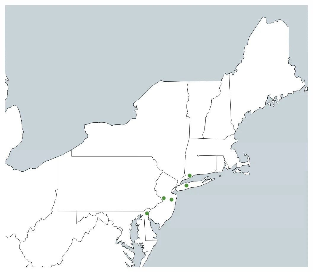 Northeast-SS Prototype Locations.jpg