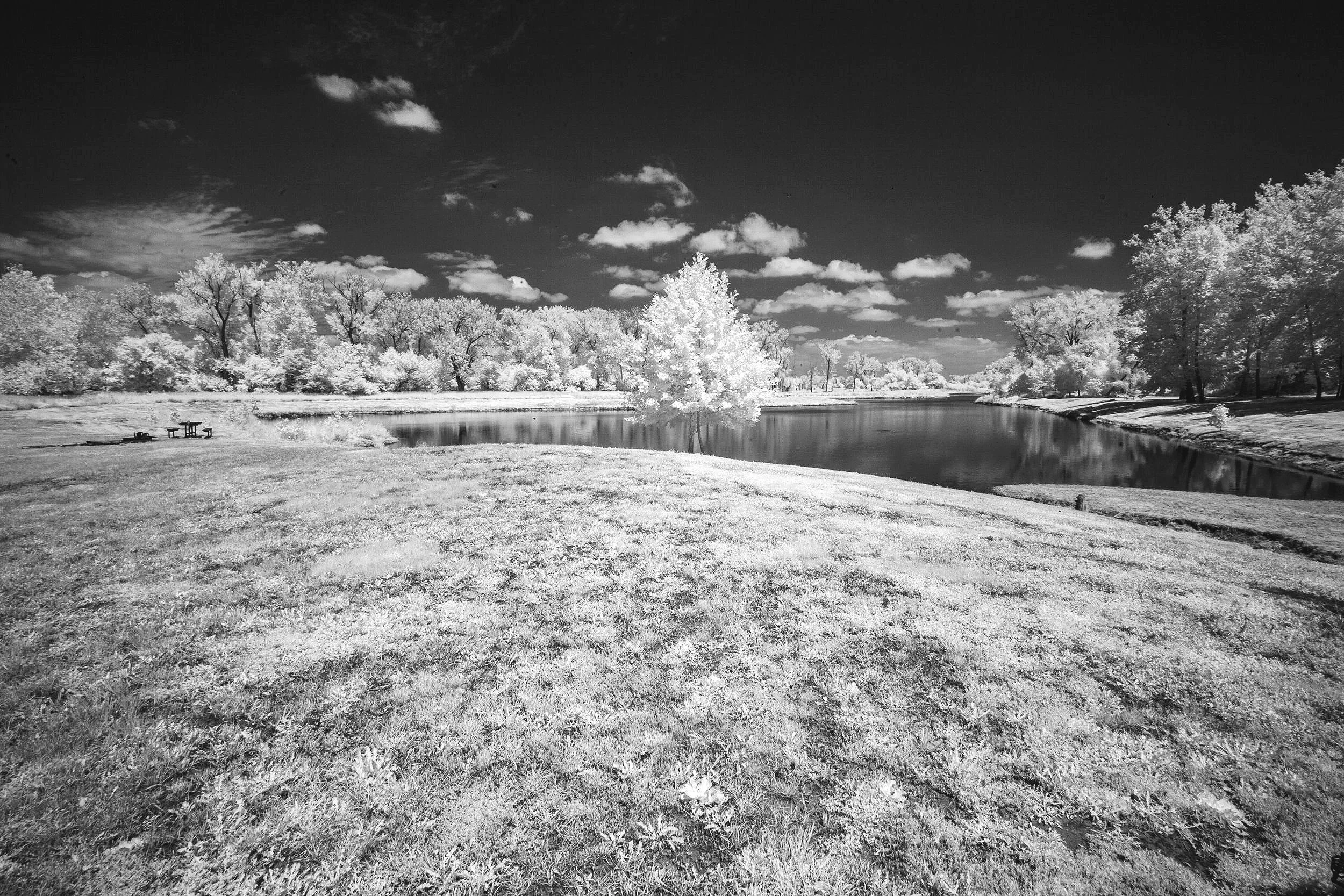  Small Tree &amp; Lake 