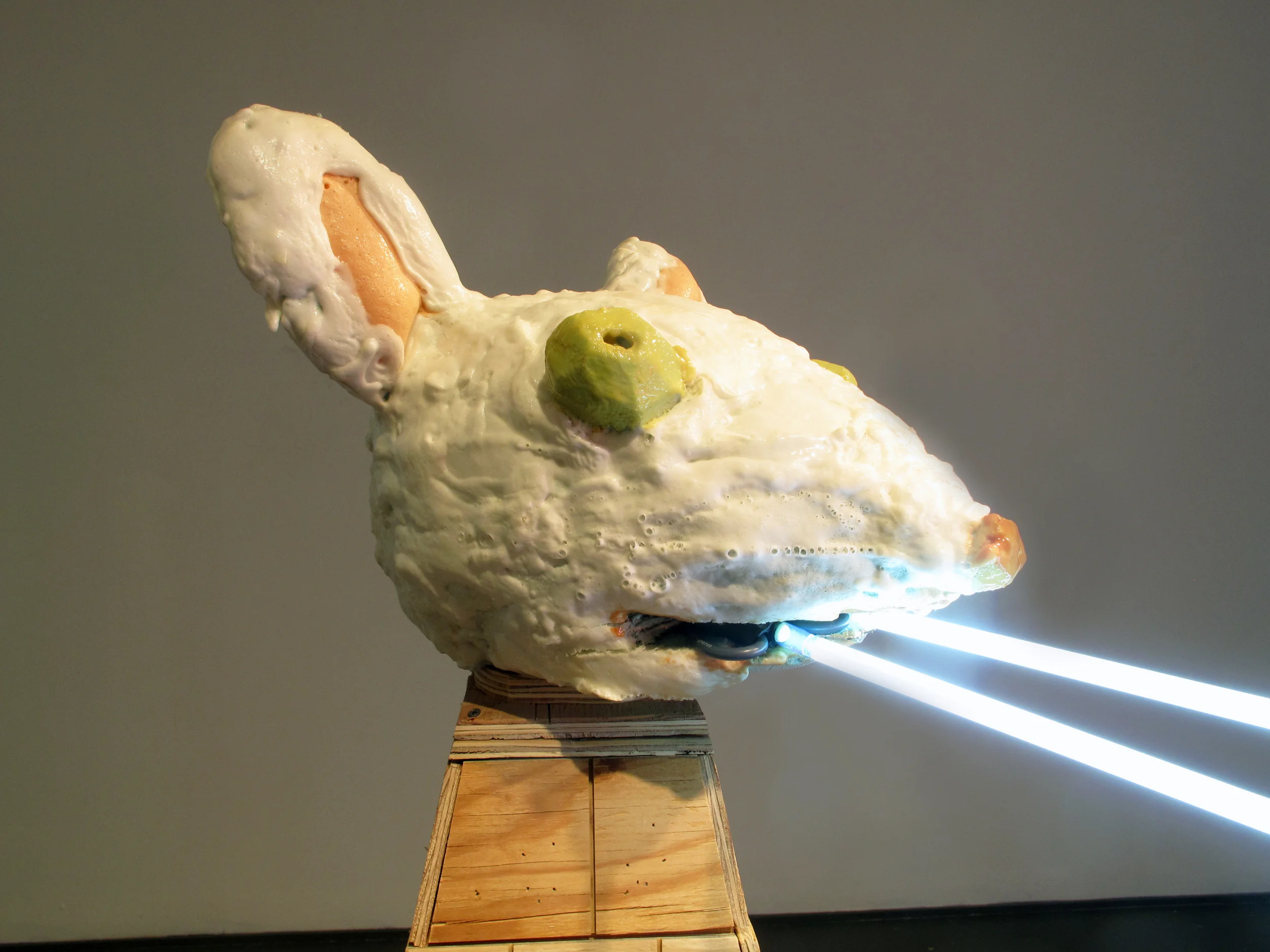 Rat Fucker, 2014