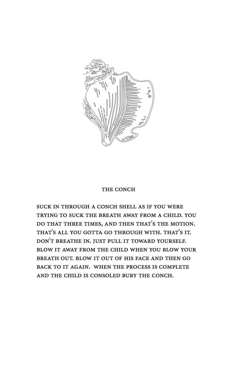 zine12.jpg