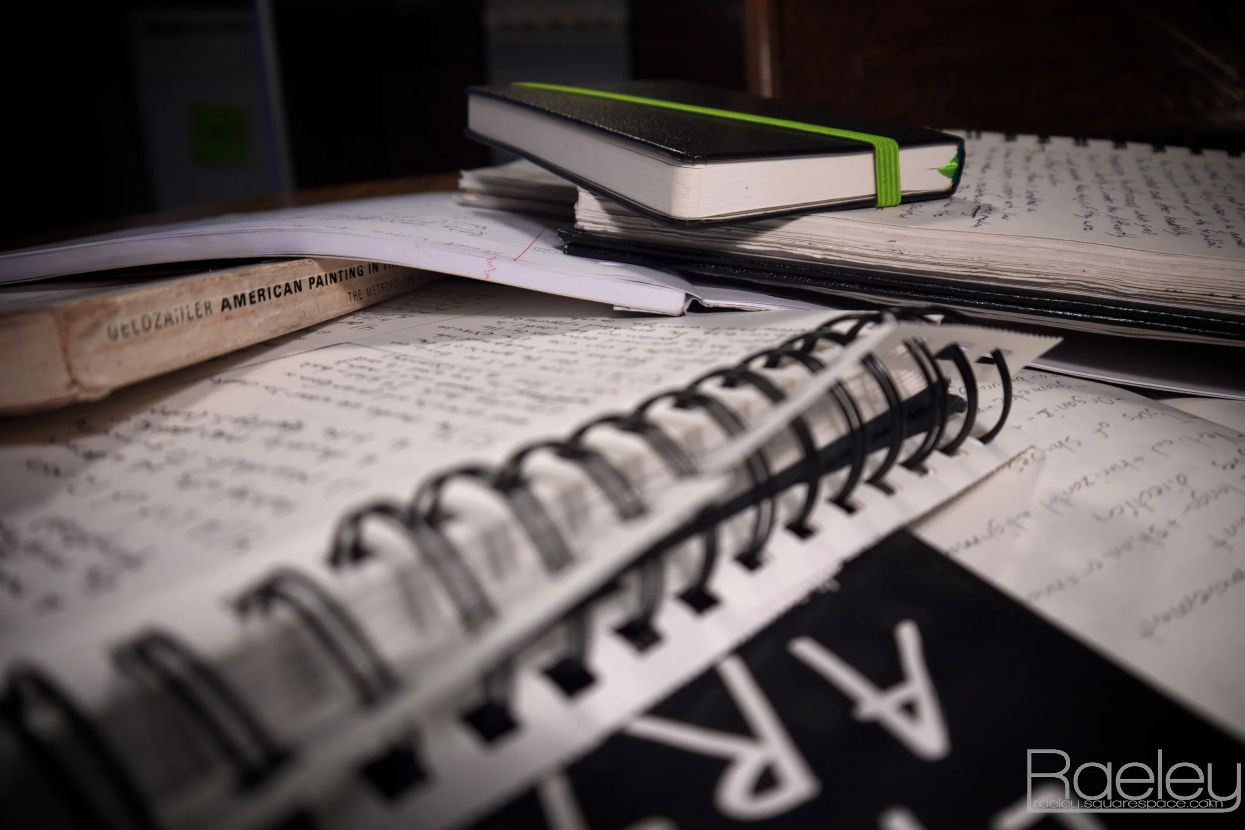 Just a few notebooks that I've collected over the last year. 