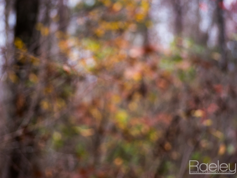 _1190574.jpg