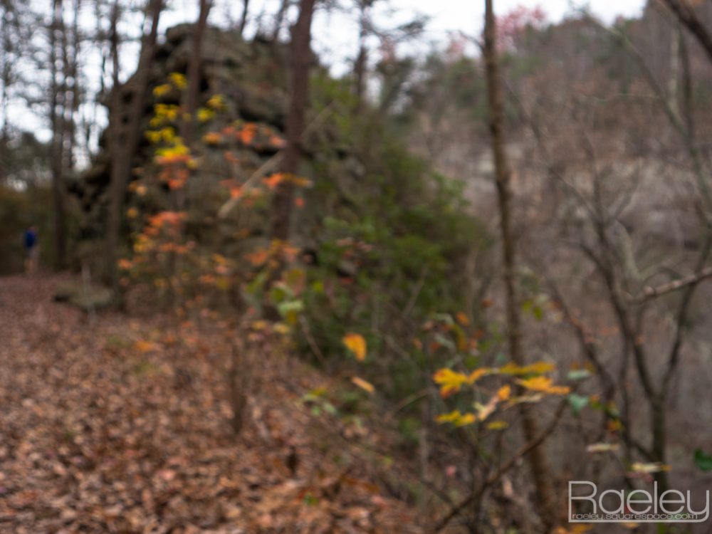 _1190678.jpg