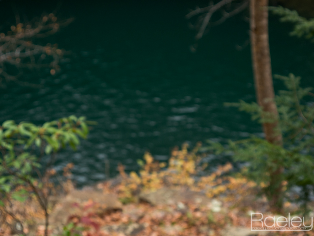 _1190727.jpg