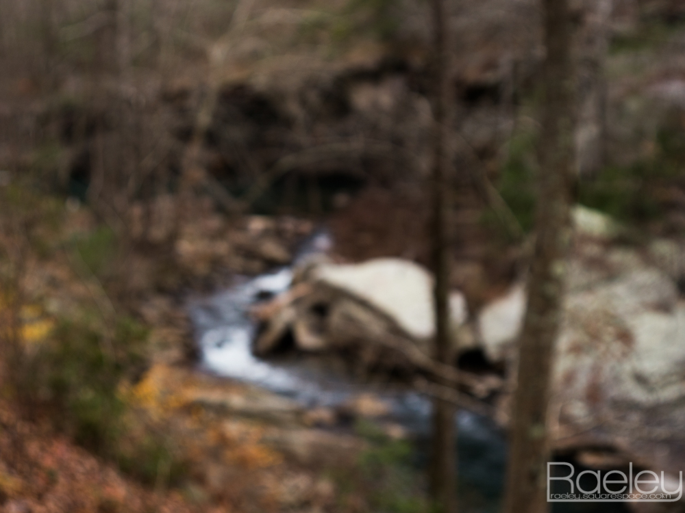 _1190718.jpg