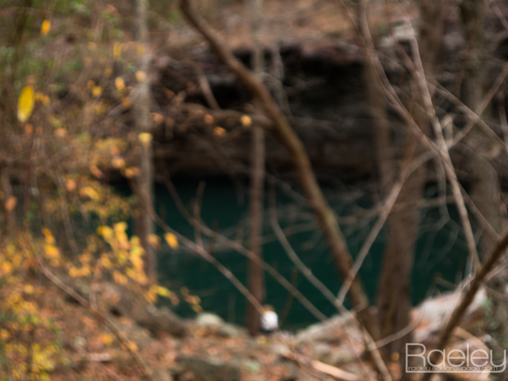 _1190726.jpg