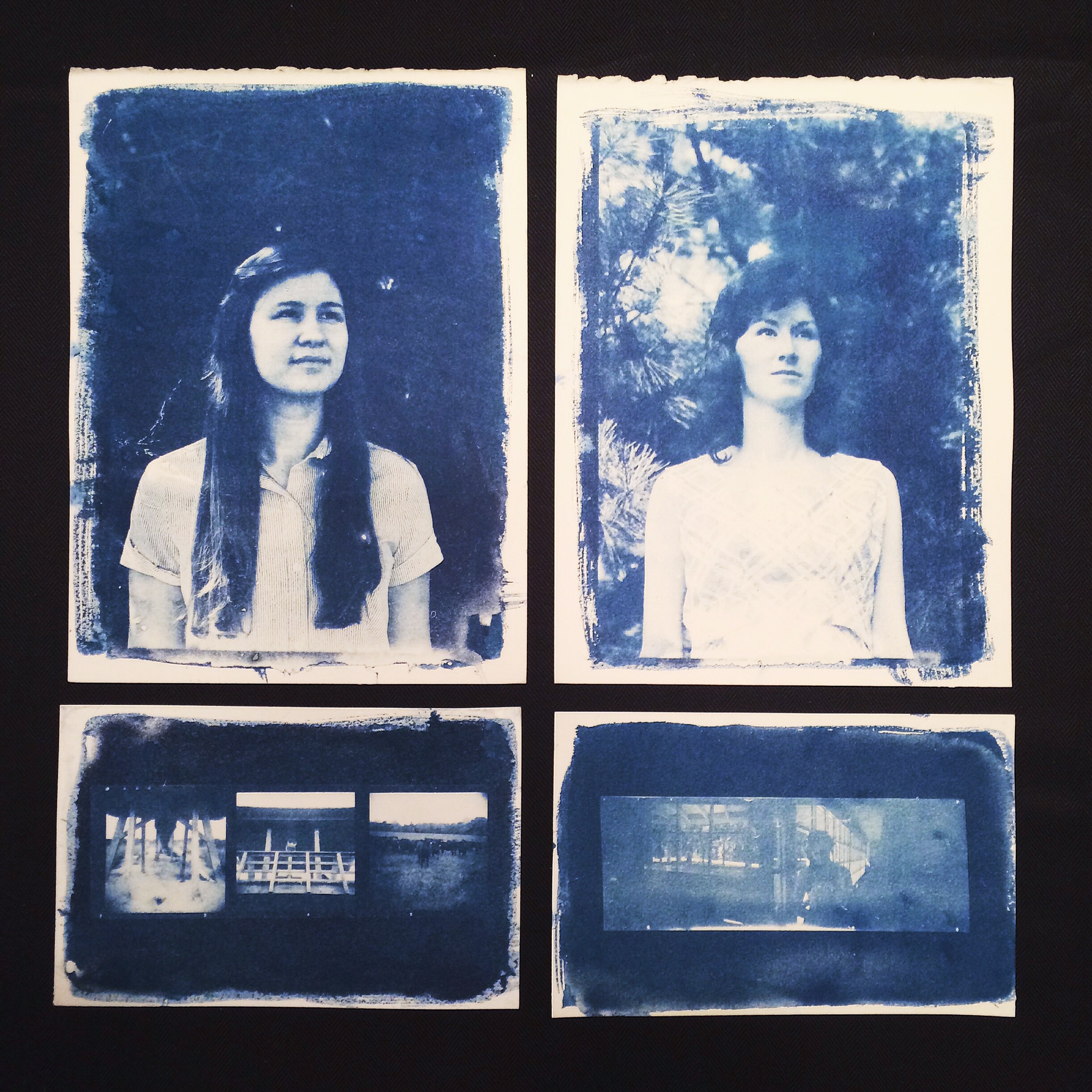Cyanotypes for class