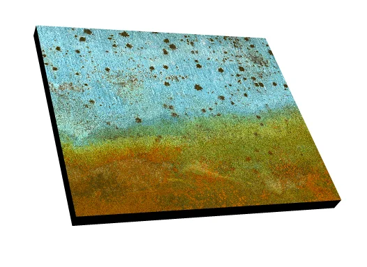 #81 Archival InkJet print on canvas with black edge.