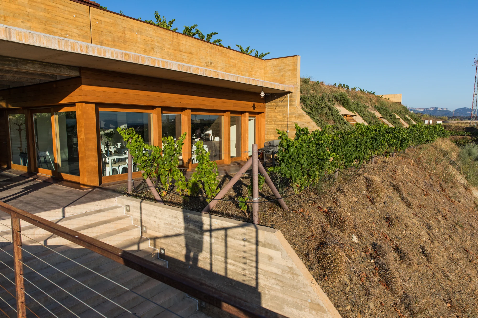 This is the view from the public deck. You can see the hotel rooms peeking out among the vines to the right, and you can see vines on the roof as well. Great for energy costs!