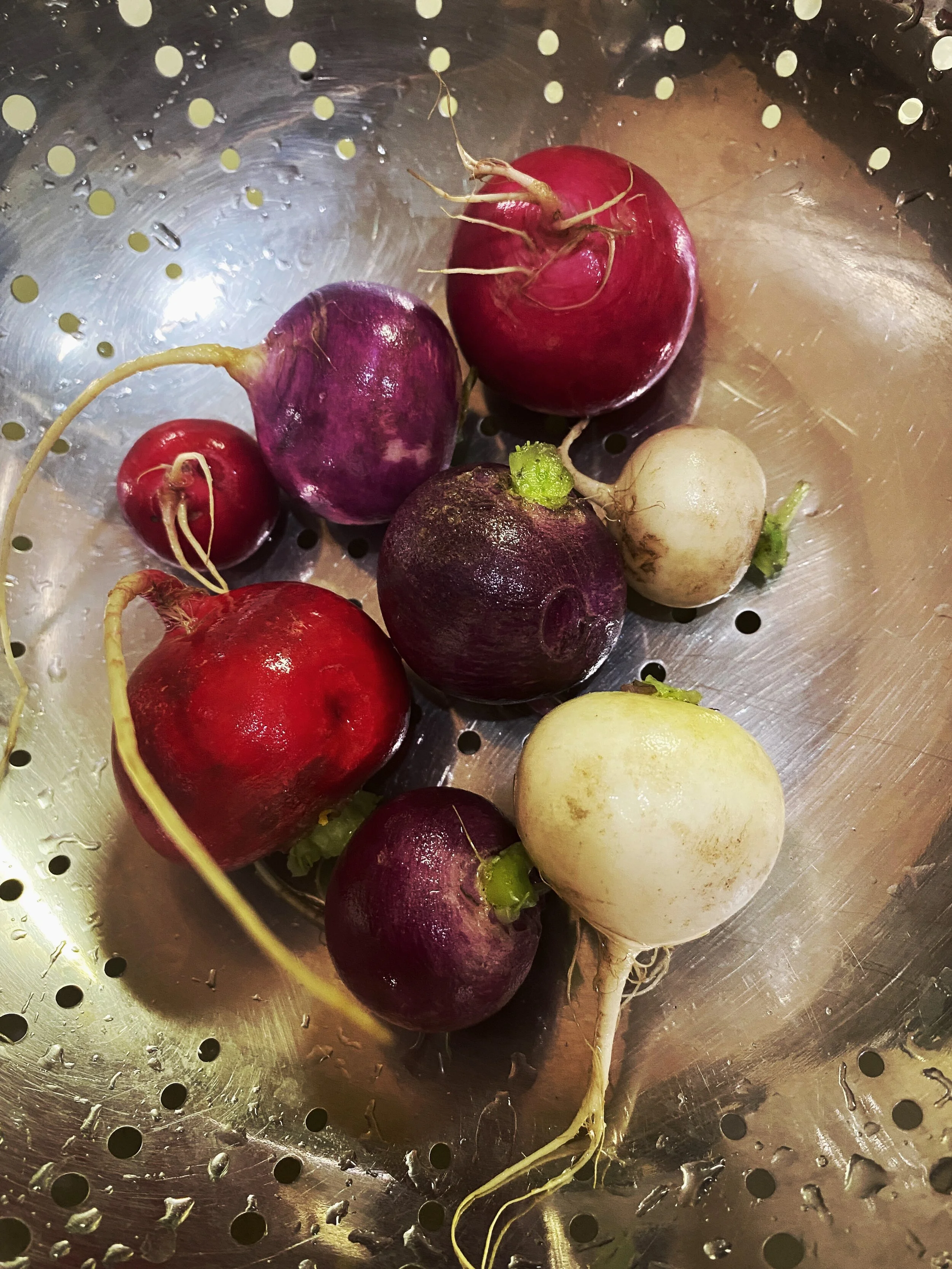 TART OF HEIRLOOM BULB ONIONS, RAINBOW RADISHES, & PURPLE CAULIFLOWER
