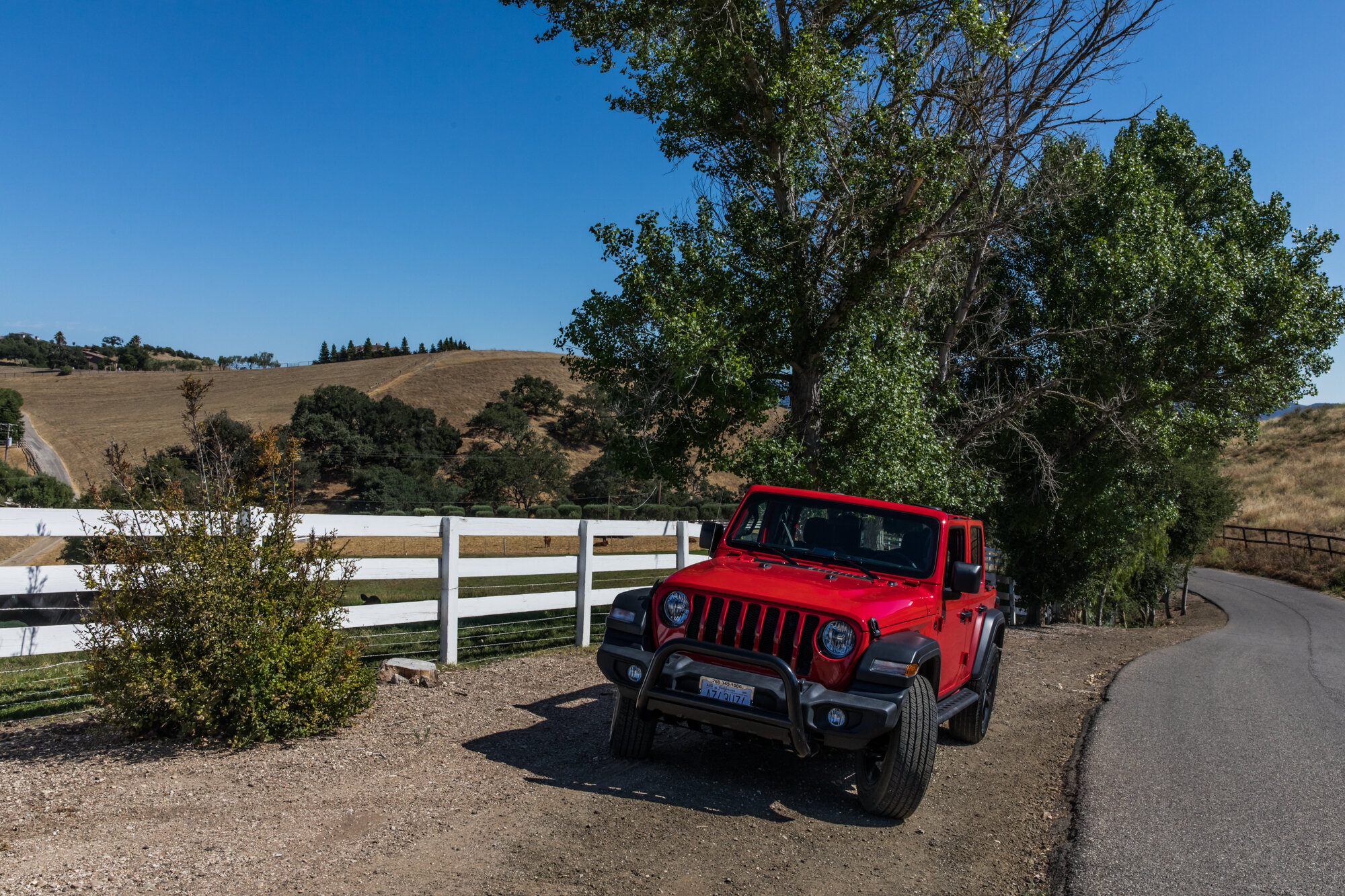 Rex in the Ballard Canyon AVA