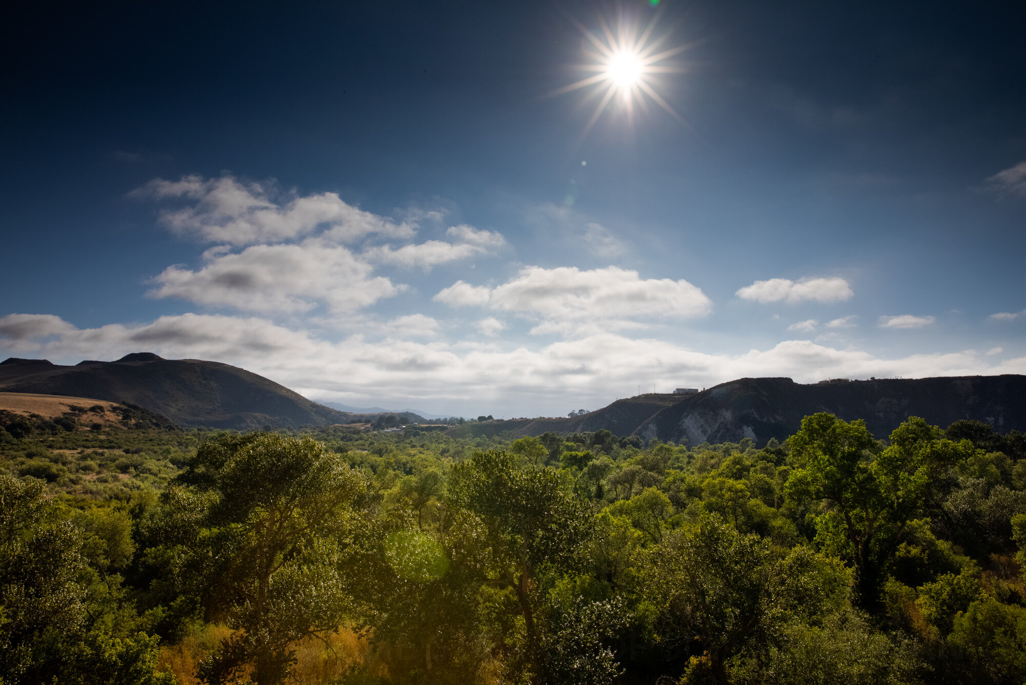 Santa Rita Hills AVA