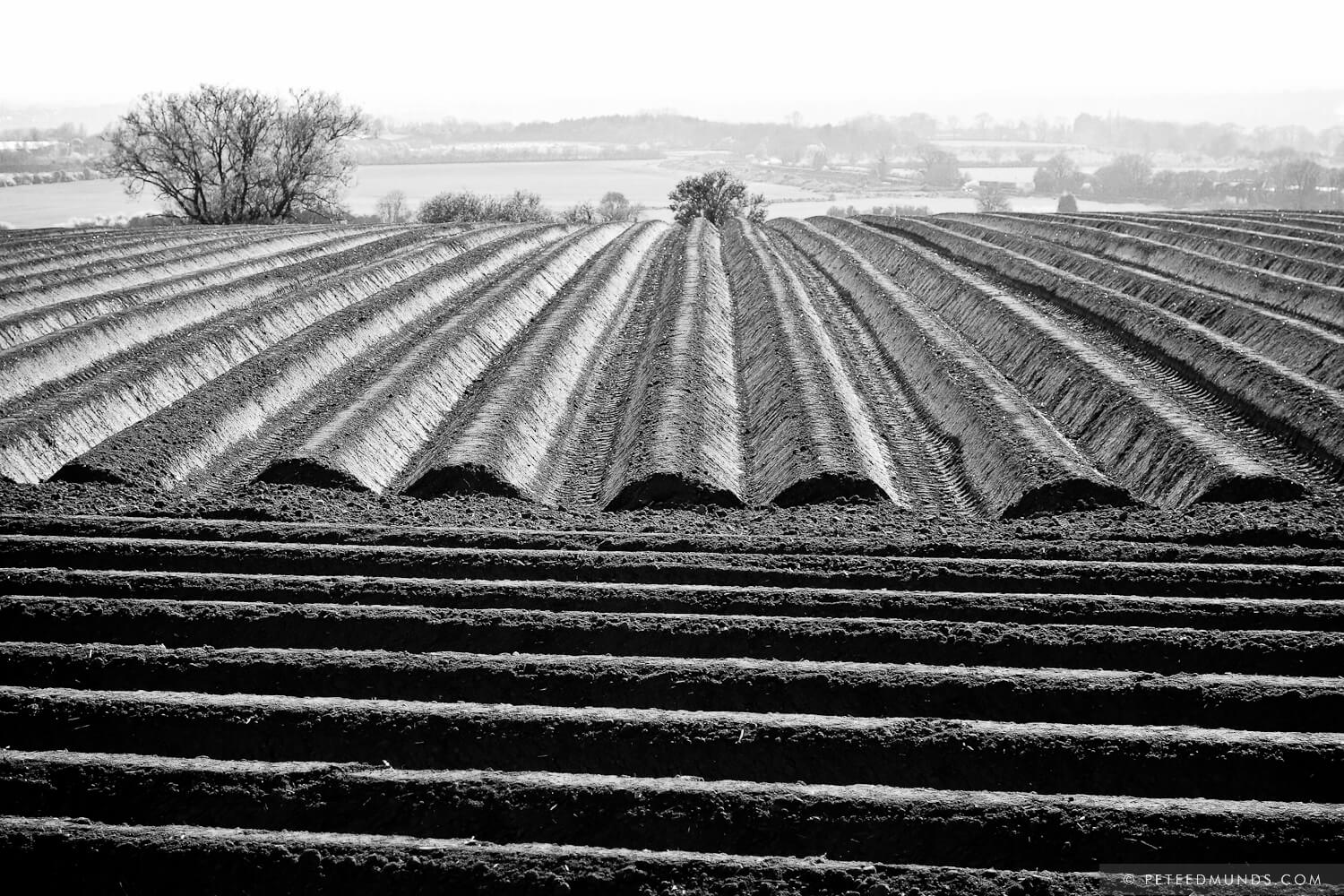 Ploughed Field (Northamptonshire)