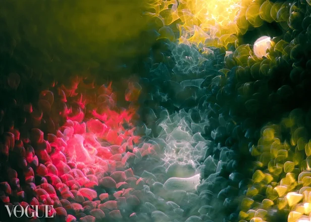 "STORM" (Condensation Series) - Published on VOGUE.IT