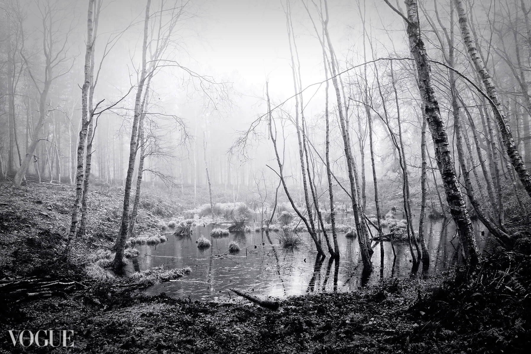 Forest Pool