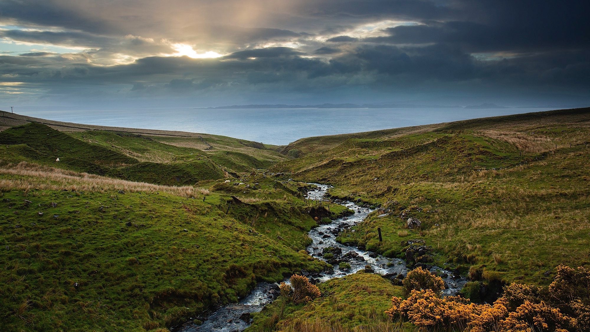 ARS_SCOTLAND_150516_5955.jpg