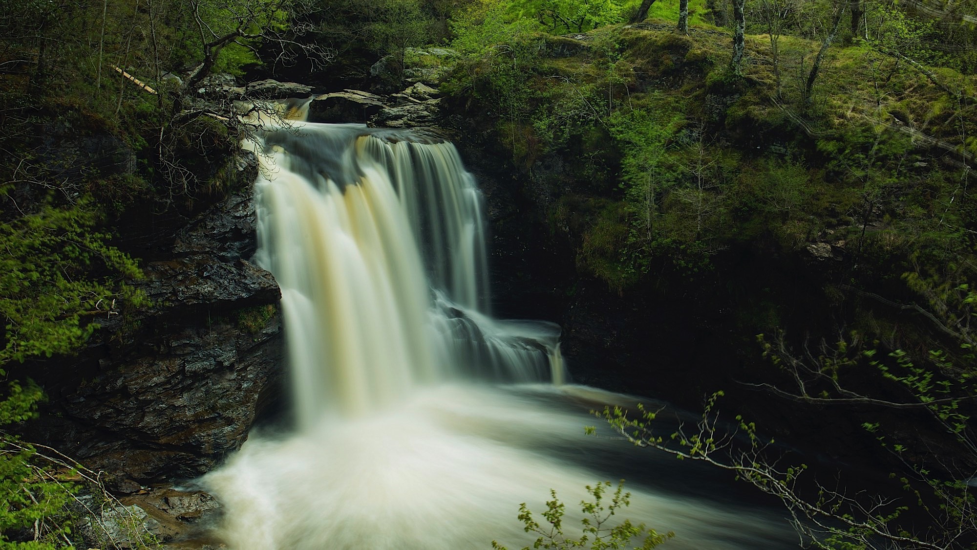 ARS_SCOTLAND_150522_7745.jpg