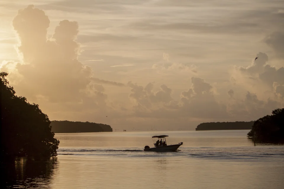 morning at flamingo bay