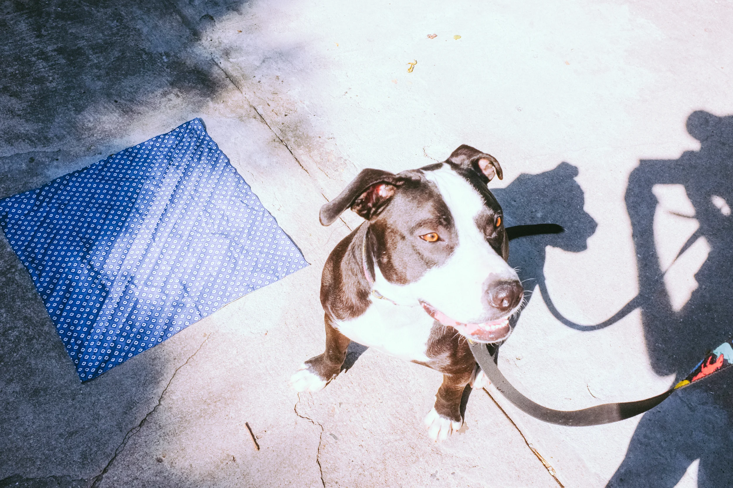 DSCF5122-48.jpg