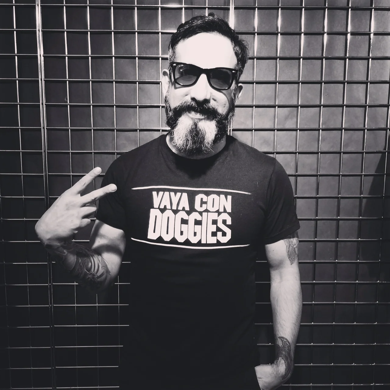 KEVIN ROCKIN'S VAYA CON DOGGIES
