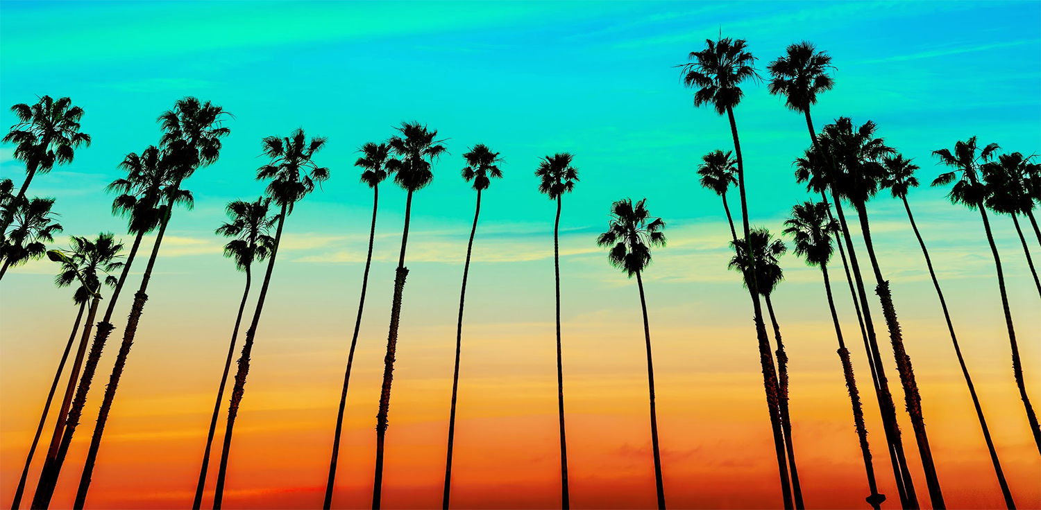 Isla Vista Screen Printing \u0026 Embroidery