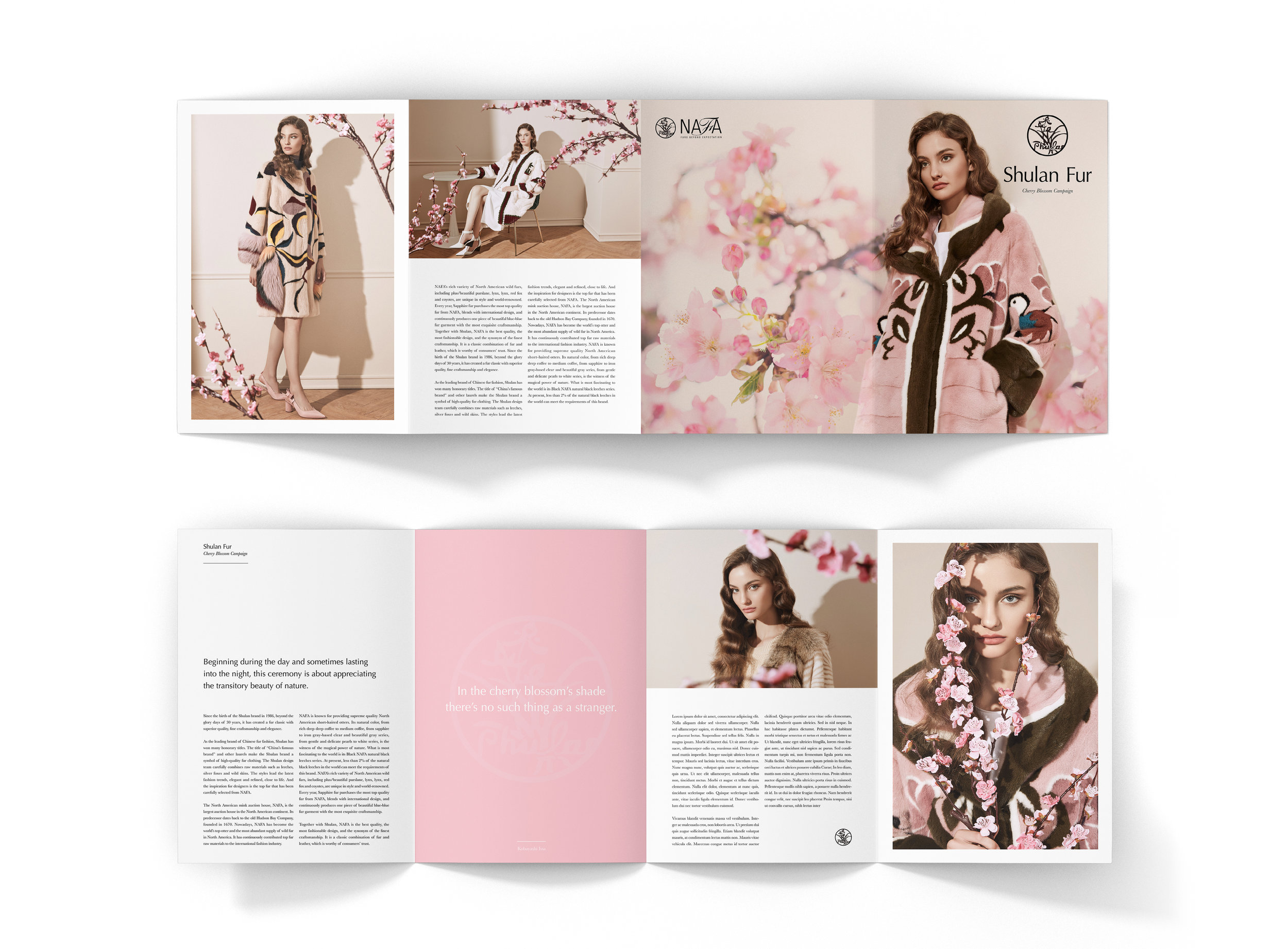 4_roll_fold_brochure_mockup_back_open_top copy copy.jpg