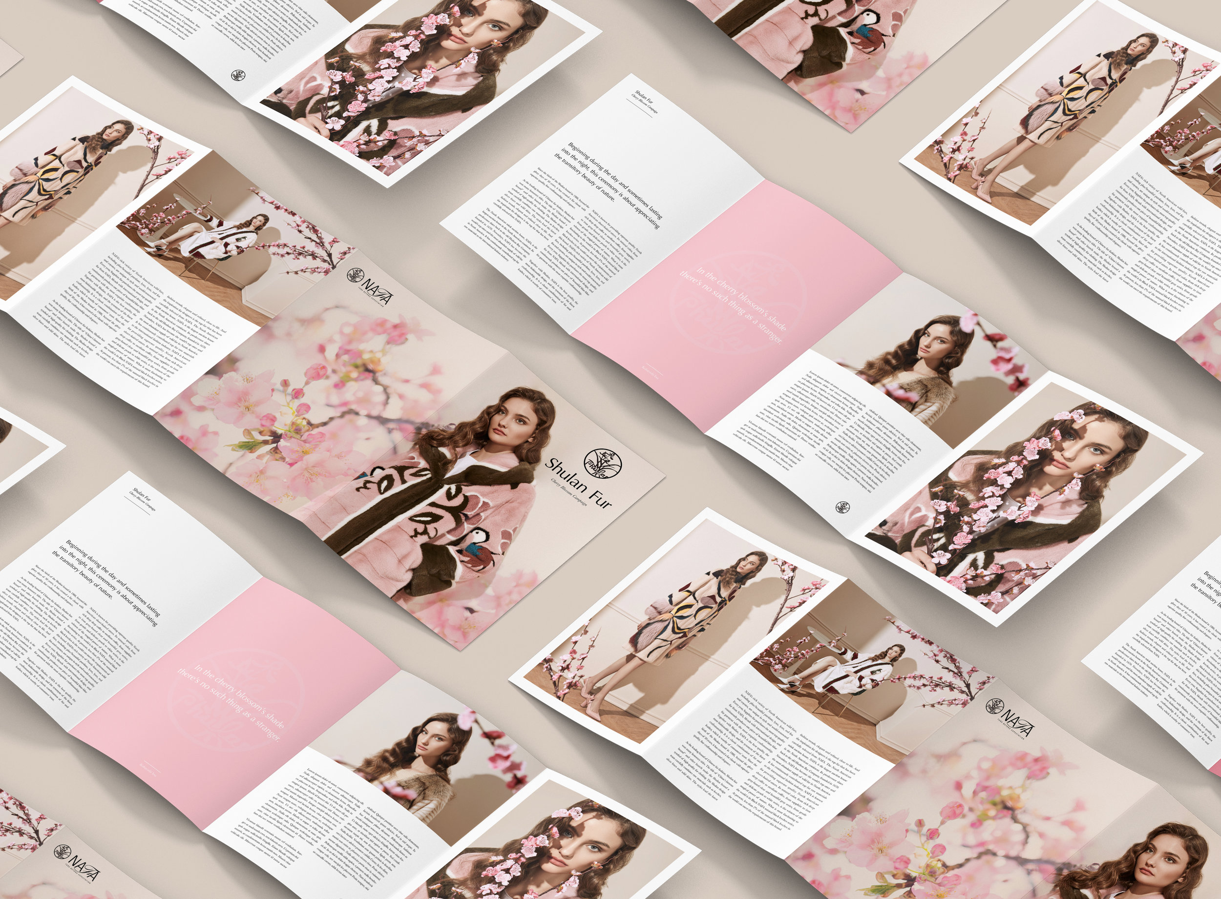 Shulan Brochure