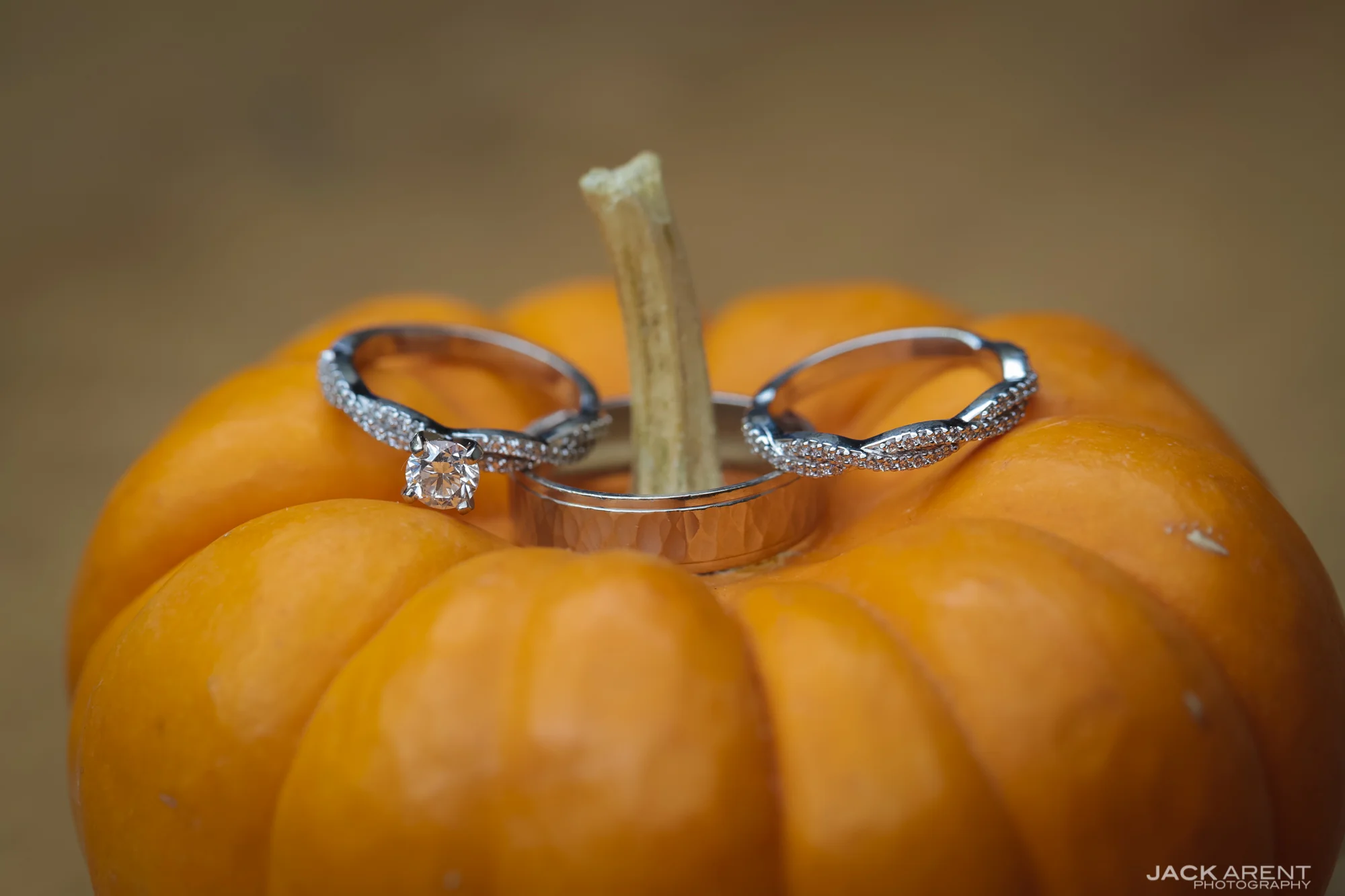 JackArentPhoto-31-2.jpg