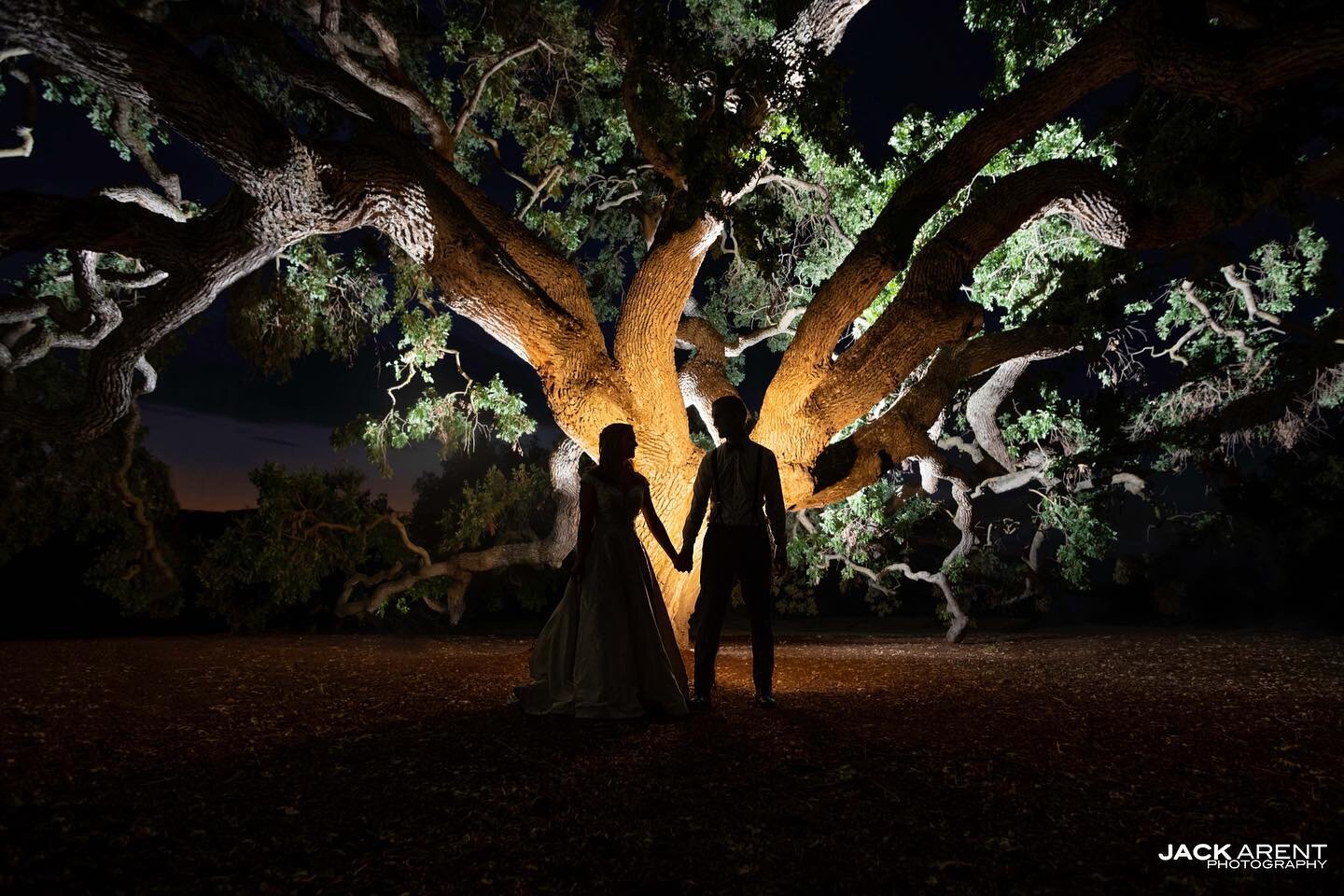 Making the old #oaktree come alive at @rubyhillevents Lit with #magmod gear. Read the Blog (link in profile)

.
.
.
.
#nba #warriors #wedding #photographer #pleasanton #california #bayarea #bayareaweddingphotographer #weddingphotography #weddingphoto